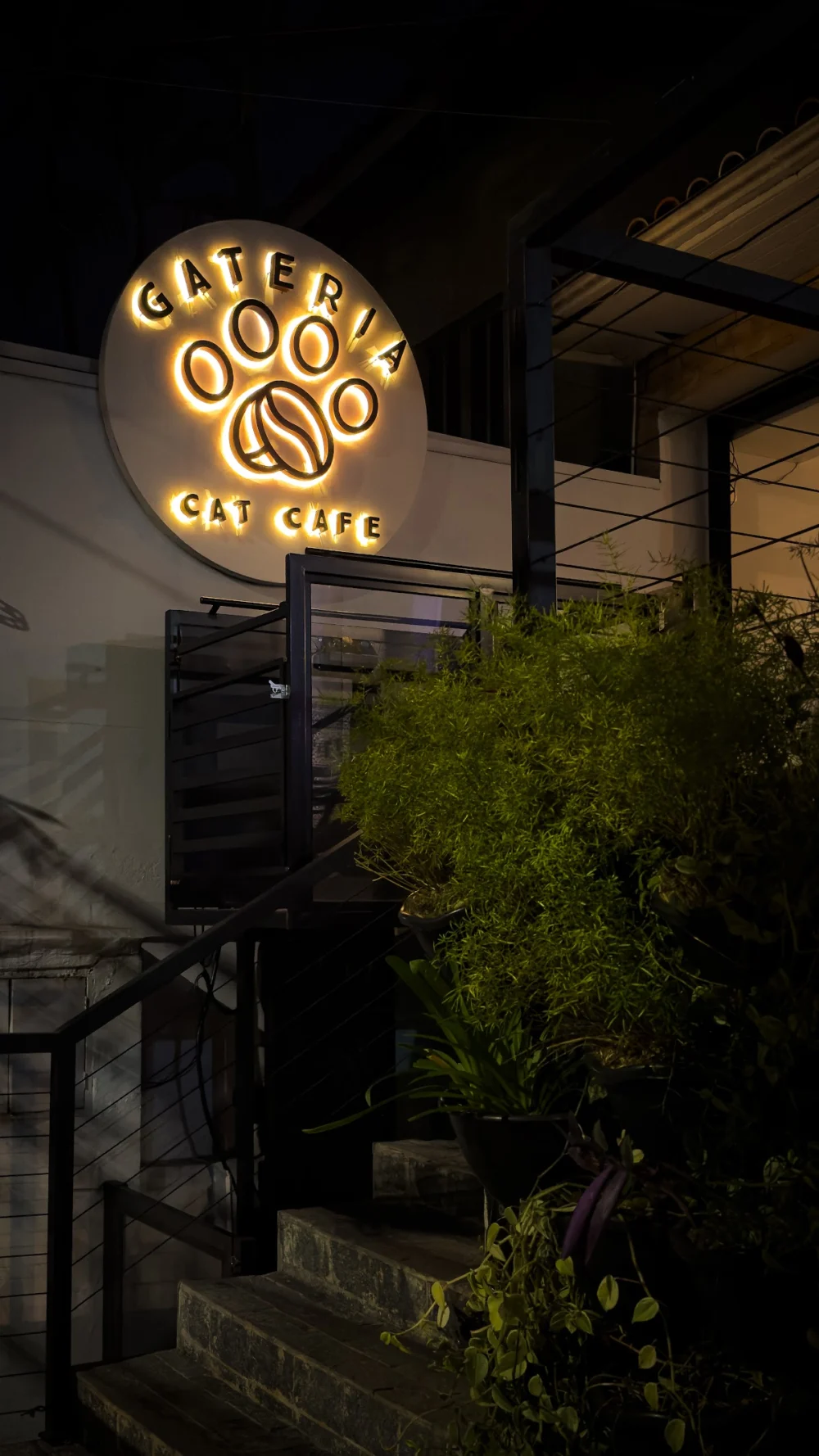 Gateria Cat Cafe
