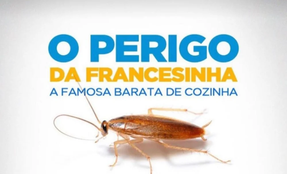Tec Ras dedetizadora sp